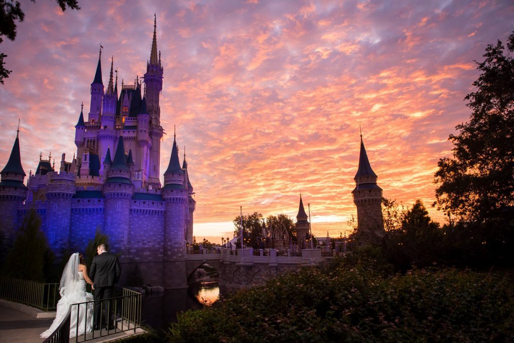 Wedding in Disneyland